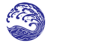 Wave Martial Arts